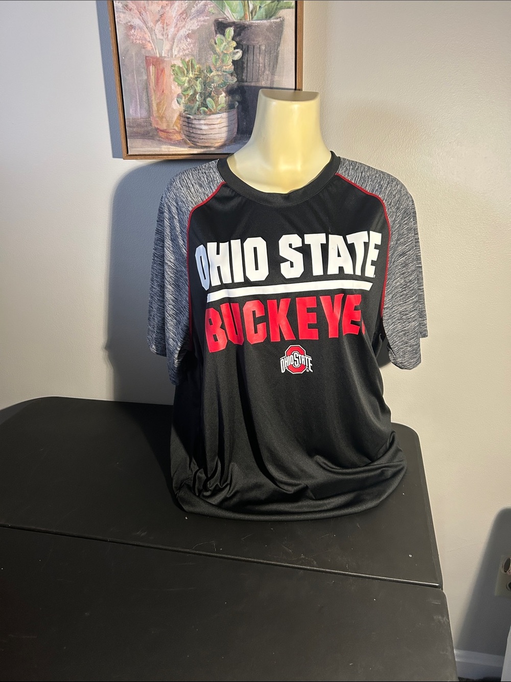 Ohio State Buckeyes Short Sleeve Fan Tee — Black & Gray